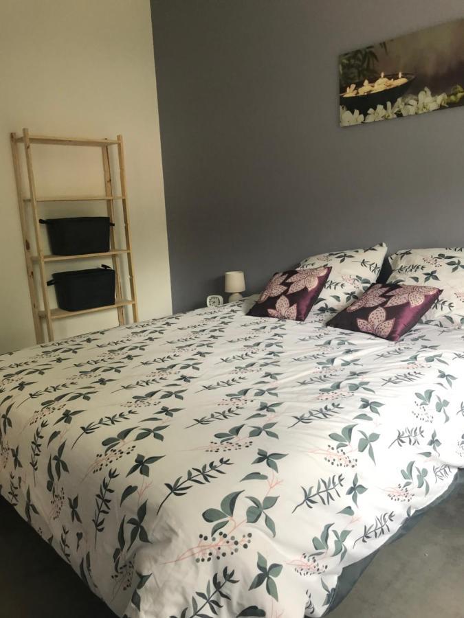 Appartement A Tarascon Sur Ariege Le Sabart Exterior photo